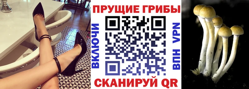 Купить закладки  Курлово  Псилоцибиновые грибы ЛСД 
